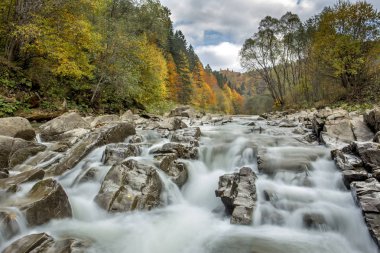 Bieszczady Dağlar - Polonya Karpatlar - nehir 
