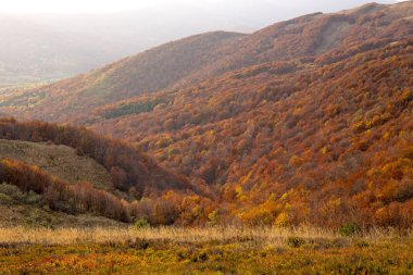 Bieszczady Dağlar - Polonya Karpatlar