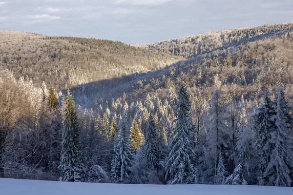 Beskid Sadecki dağlar - Polonya Karpatlar 