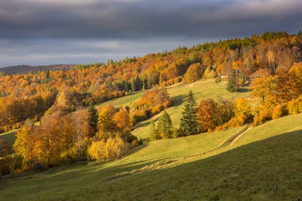 Beskid Sadecki Mountains - Polônia Cárpatos — Fotografia de Stock