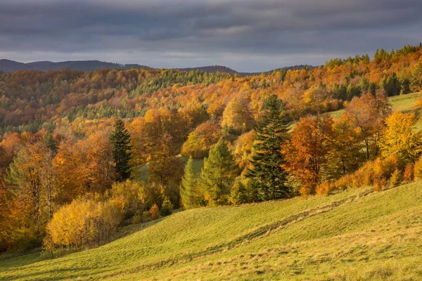 Beskid Sadecki Mountains - Polônia Cárpatos — Fotografia de Stock