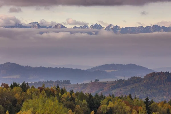 Beskid Sadecki dağlar - Polonya Karpatlar