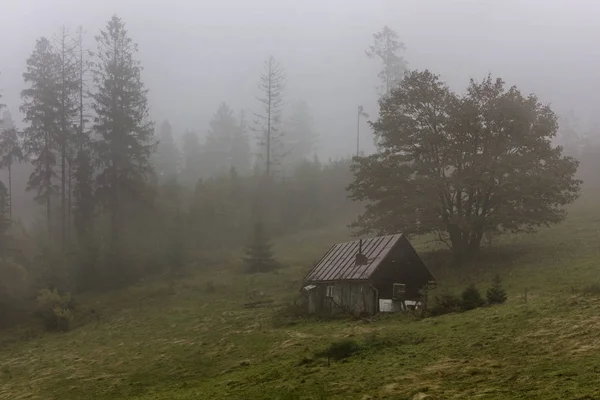 Бещад Польща Карпат — стокове фото