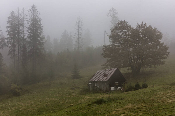 Bieszczady Mountains - Poland Carpathians