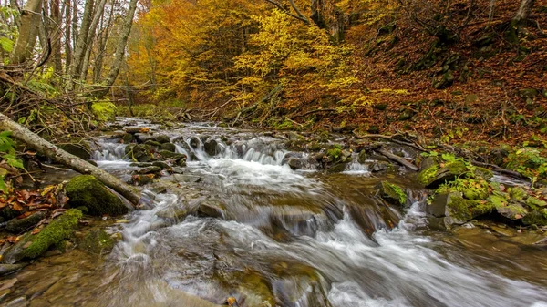 Montagne Bieszczady Polonia Carpazi — Foto Stock