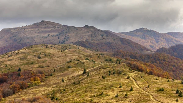 Bieszczady Dağlar - Polonya Karpatlar