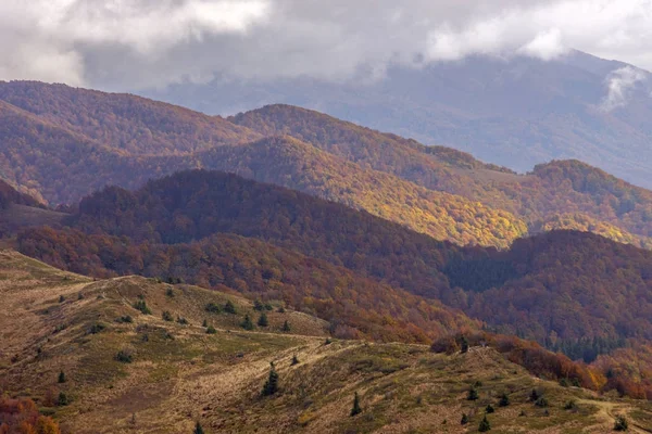 Bieszczady Dağlar - Polonya Karpatlar