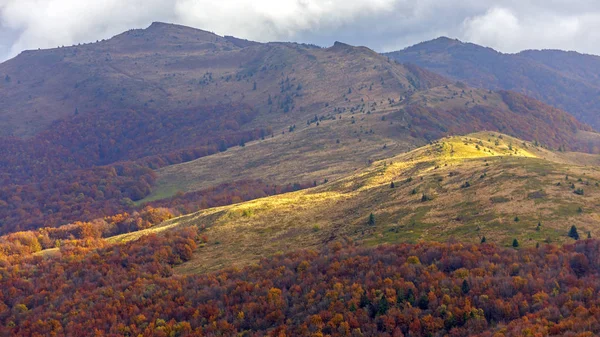 Bieszczady Dağlar - Polonya Karpatlar
