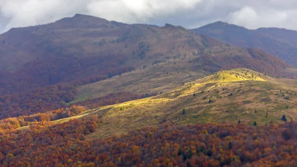 Bieszczady Dağlar - Polonya Karpatlar