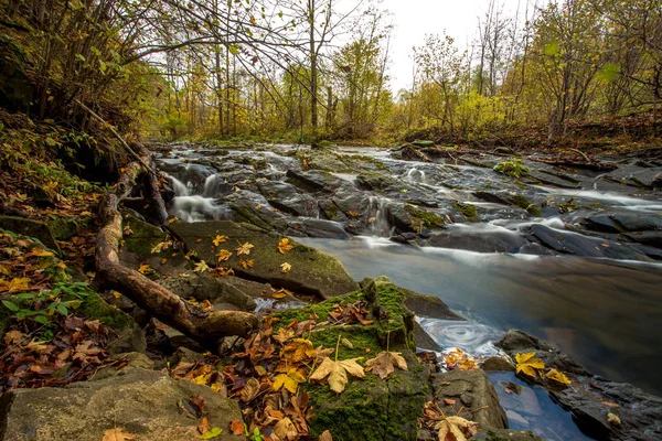 Bibieszczady bergen - Poolse Karpaten — Stockfoto