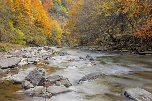 Montagne Bieszczady - Polonia Carpazi — Foto Stock