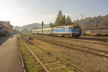 Bieszczady Dağlar - Polonya Karpatlar - Zagrz tren 