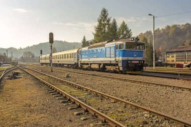 Bieszczady Dağlar - Polonya Karpatlar - Zagrz tren 