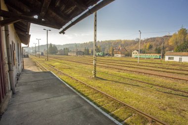 Bieszczady Dağlar - Polonya Karpatlar