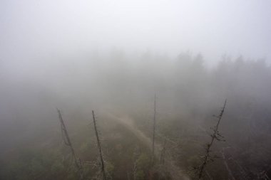 Jesie�� w Gorcach 