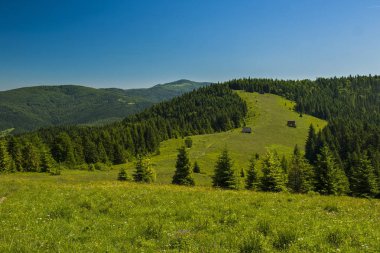 Gorce dağlar - Polonya Karpatlar
