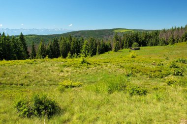 Gorce dağlar - Polonya Karpatlar