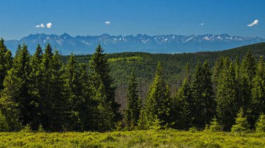 Gorce dağlar - Polonya Karpatlar