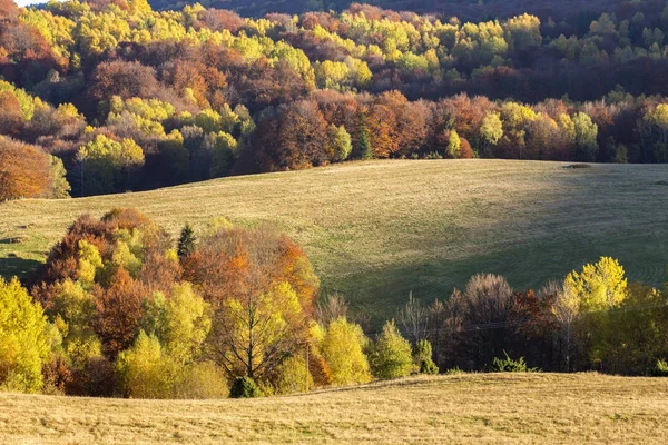 Bieszczady Dağlar - Polonya Karpatlar 