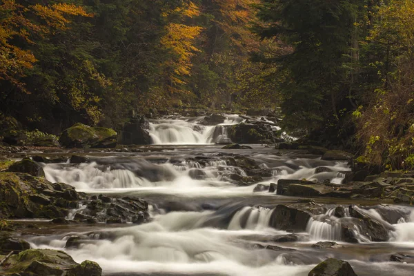 Gorce dağlar - Polonya Karpatlar - Kamienica Nehri