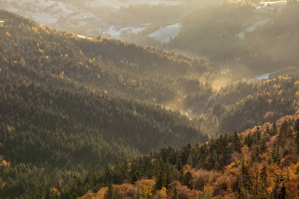 Gorce dağlar - Polonya Karpatlar