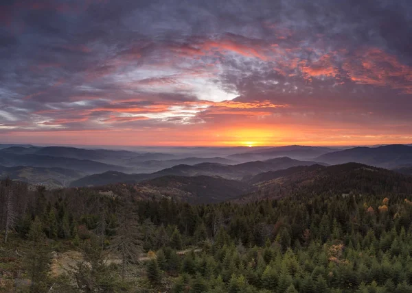 Gorce dağlar - Polonya Karpatlar - fotoğrafçı