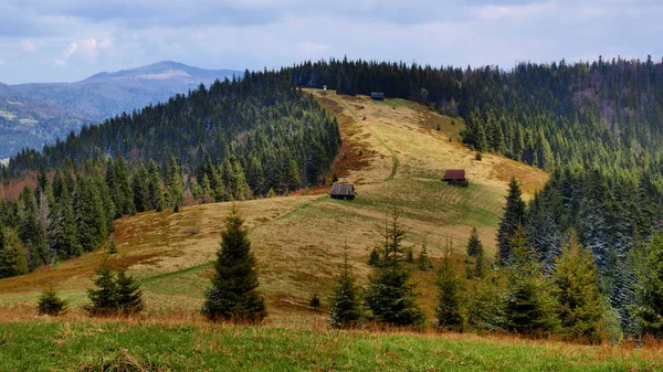 Gorce Mountains Pologne Carpates — Photo