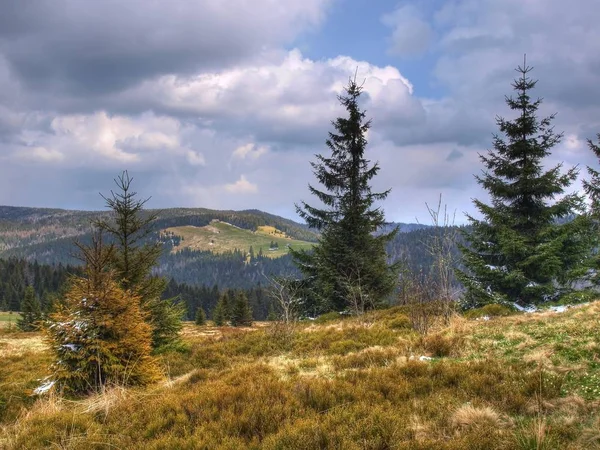 Gorce Mountains Polónia Cárpatos — Fotografia de Stock