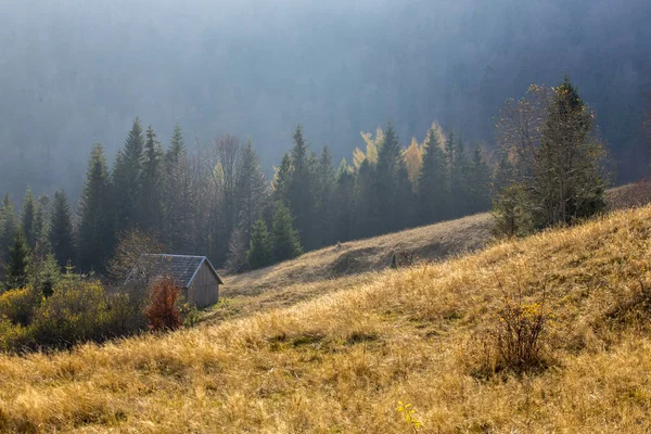 Jesie�� w Gorcach 