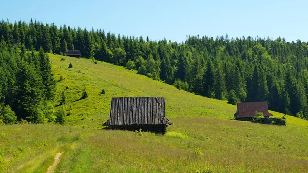 Горце Польща Карпат — стокове фото