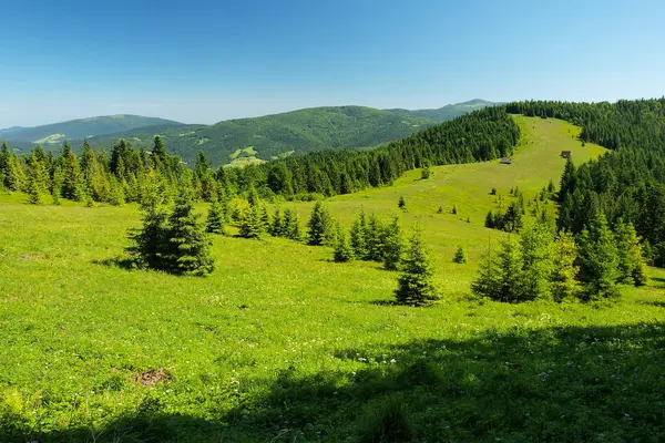 Gorce Dağlar Polonya Karpatlar — Stok fotoğraf