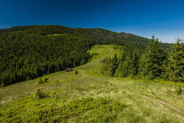 Gorce Βουνά Πολωνία Καρπάθια — Φωτογραφία Αρχείου