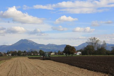 Sonbahar. Sahada çalışan traktör.