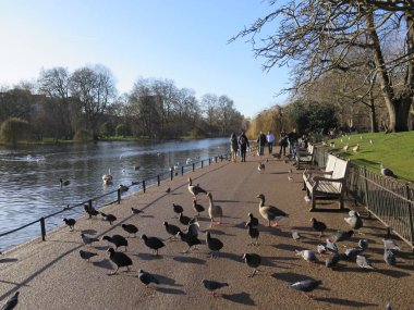 Aziz James Park Londra