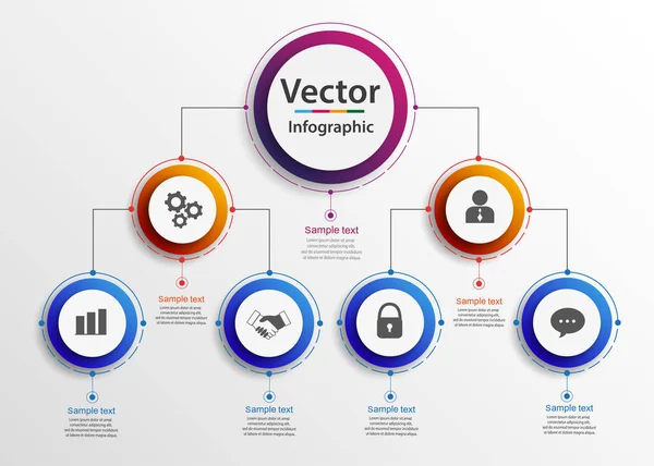 Hiyerarşisi Organogram Grafiği Bilgi Grafikleri Kurumsal Yapı Grafik Elementleri Dairesel — Stok Vektör