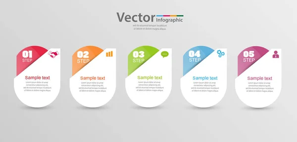 5 adımlı vektör bilgi grafikleri şablonu, seçenekler, iş akışı, işlem şeması
