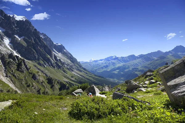BOTANIC GARDEN SAUSSUREA, hiking in the Mony Blanc area — Stock Photo, Image