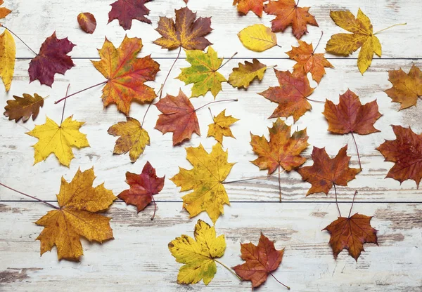 Ahşap Arkaplanda Renkli Sonbahar Yaprakları Sonbahar Duvar Kağıtları — Stok fotoğraf