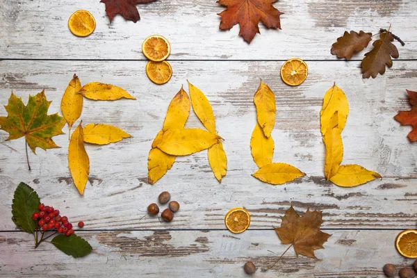 Beautiful Fall Background Colorful Autumnal Leaves — Stock Photo, Image