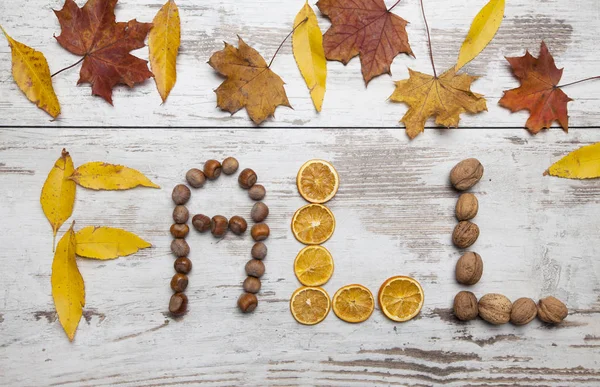 Beau Fond Automne Avec Des Feuilles Automnales Colorées — Photo