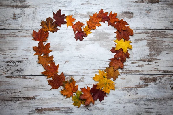 Coração Outono Feito Folhas Velho Amor Conceito Pensão — Fotografia de Stock