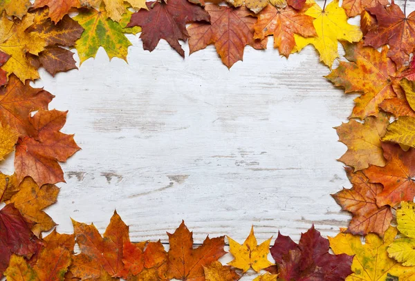 Podzimní Rám Foukající Javorové Listy Přes Vinobraní Pozadí — Stock fotografie