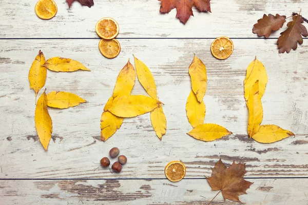 Krásné Podzimní Pozadí Barevnými Podzimními Listy — Stock fotografie