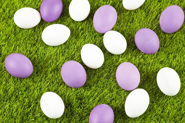 Πασχαλινά Αυγά Πράσινο Γρασίδι Royalty Free Εικόνες Αρχείου