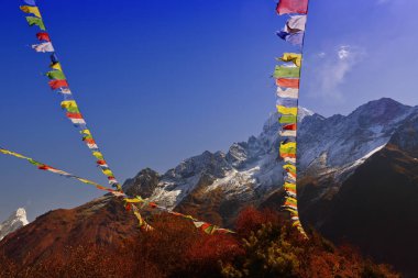 Başlangıçta bez pankartlar üzerine yazılmış olan Nepal Sutras, dünyanın diğer bölgelerine dua bayrağı olarak gönderildi..