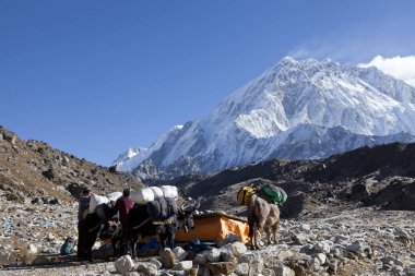 Everest Ana kampı, Khumbu Vadisi, Milli Parkı: Sagarmatha, Nepal Himalayalar muhteşem şekilde başarı, özgürlük ve mutluluk, başarı dağlarda. 