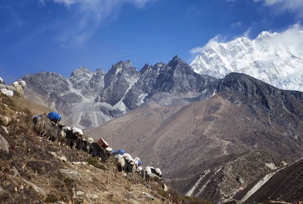 Himalayas Nepal Cirka Novembre 2017 Escursionisti Diretti Campo Base Dell — Foto Stock