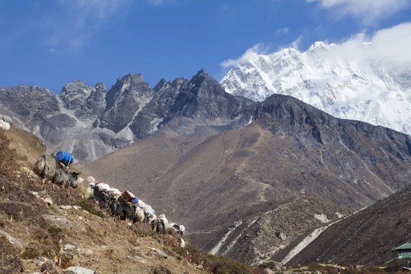 Himalayas Nepal Cirka November 2017 Everest Ana Kampı Giden Yürüyüşçüler — Stok fotoğraf