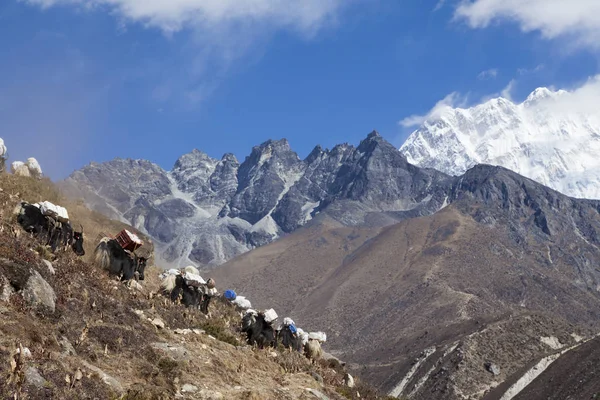 Himalayas Nepal Cirka Listopad 2017 Turyści Drodze Obóz Everest Piękna — Zdjęcie stockowe