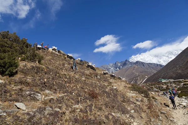 Himalayas Nepal Cirka November 2017 Everest Ana Kampı Giden Yürüyüşçüler — Stok fotoğraf